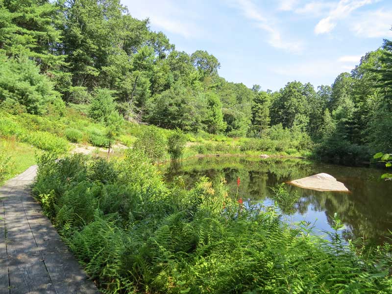 Coastal Kettle Pond Garden Norcross Wildlife Foundation